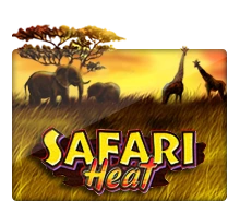Safari Heat - HEROBET168
