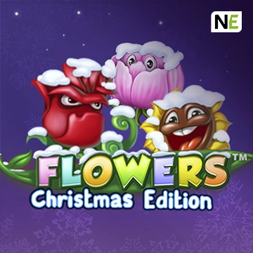 Flowers Christmas Edition - HEROBET168