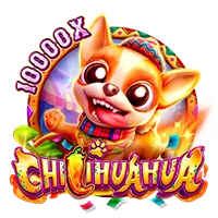 CHILIHUAHUA - HEROBET168