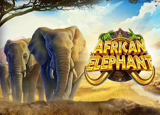 African Elephant - HEROBET168